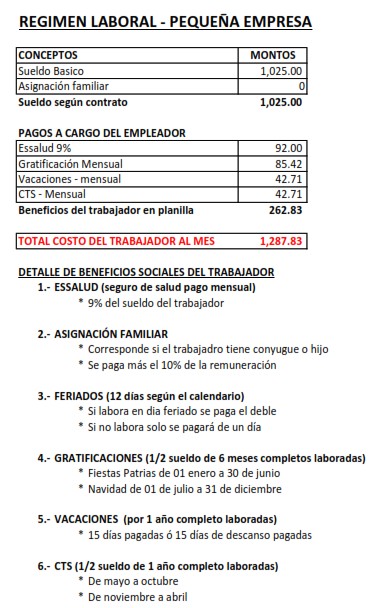 regimen-laboral-pequ-20250704224631.jpg