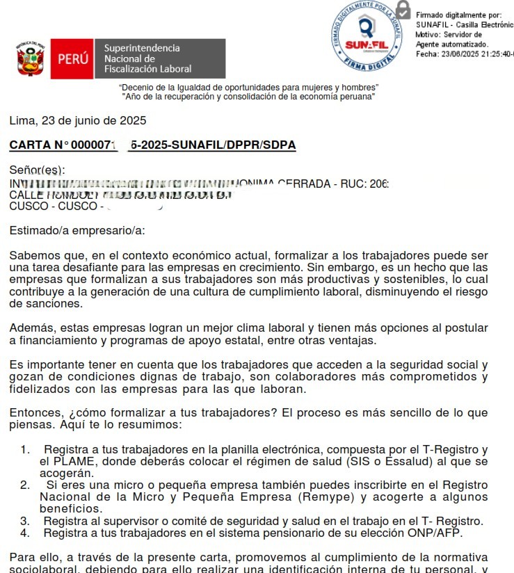registro-en-remype-20250704223817.jpg